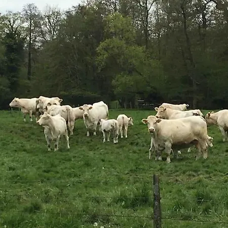De Charme A La Campagne Holiday home Aulnoy